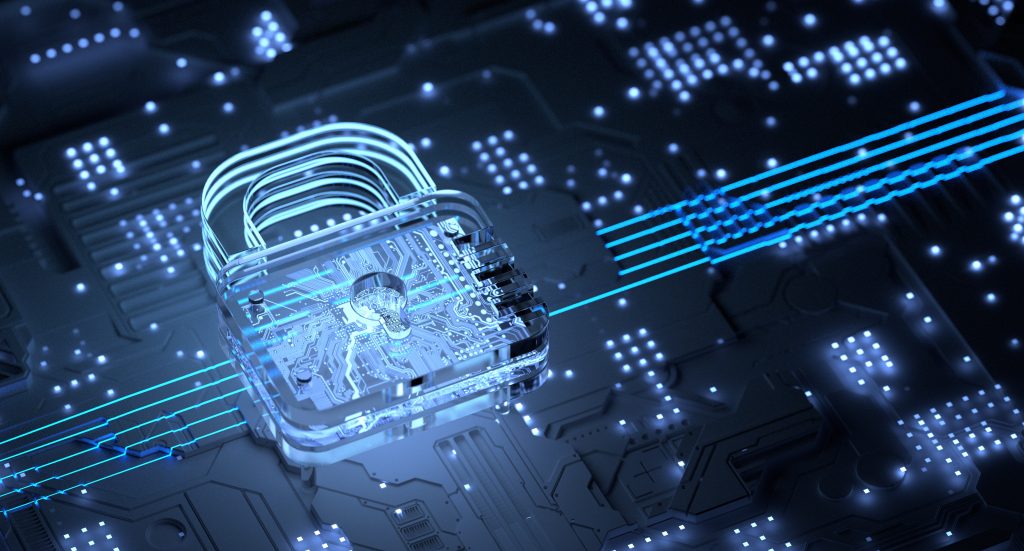 bezpieczeństwo informacji i ochrona danych osobowych