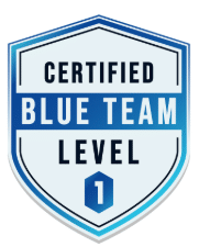 BLUE LEVEL TEAM